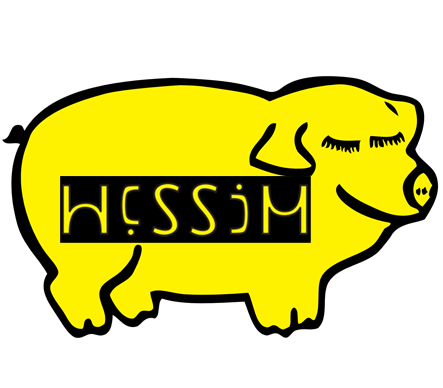HCSSiM